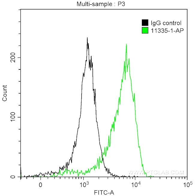 IRF1 Antibody in Flow Cytometry (Flow)