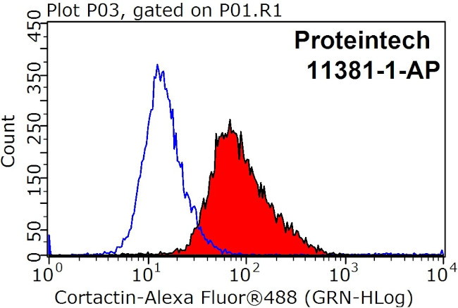 Cortactin Antibody in Flow Cytometry (Flow)