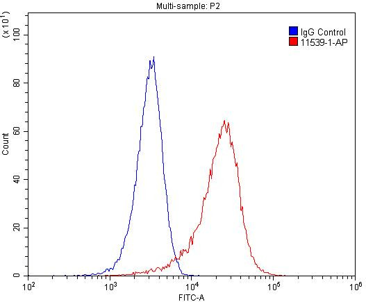 MAGED1 Antibody in Flow Cytometry (Flow)