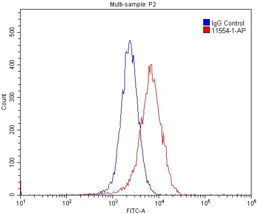 Cyclin E1 Antibody in Flow Cytometry (Flow)