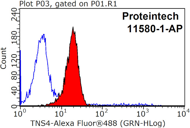 TNS4 Antibody in Flow Cytometry (Flow)