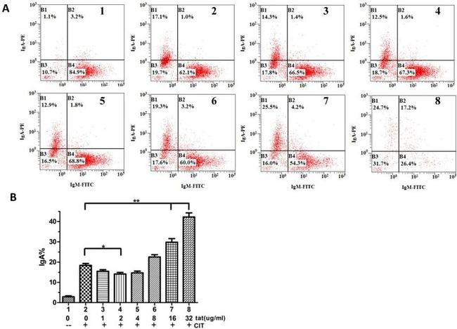 IgM Antibody in Flow Cytometry (Flow)