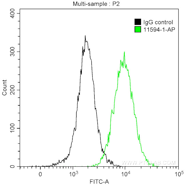 ACP5 Antibody in Flow Cytometry (Flow)