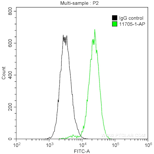 CDK9 Antibody in Flow Cytometry (Flow)