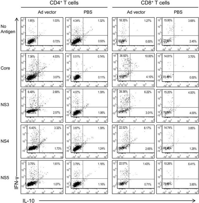 IL-10 Antibody in Flow Cytometry (Flow)