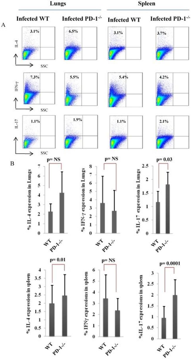 IL-17A Antibody in Flow Cytometry (Flow)