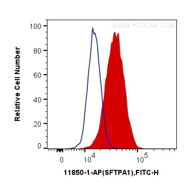 SFTPA1 Antibody in Flow Cytometry (Flow)