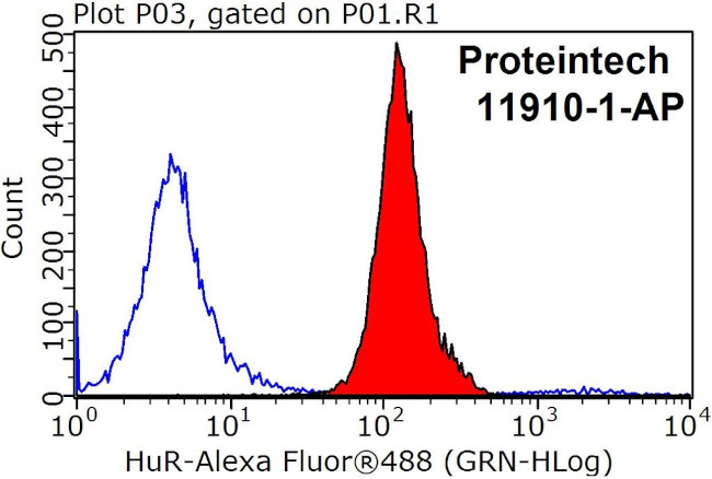 HuR Antibody in Flow Cytometry (Flow)