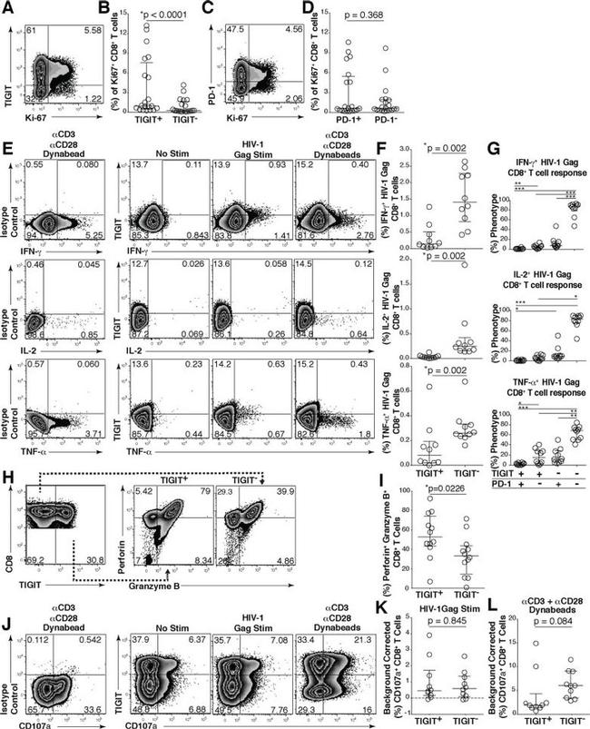 TIGIT Antibody in Flow Cytometry (Flow)