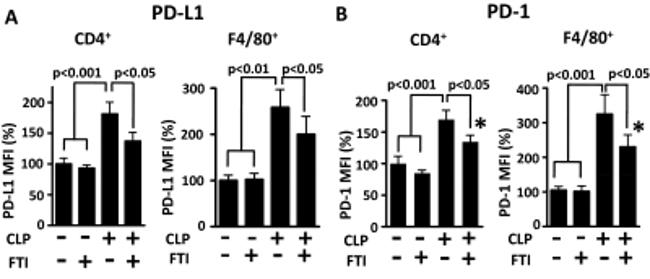 CD279 (PD-1) Antibody