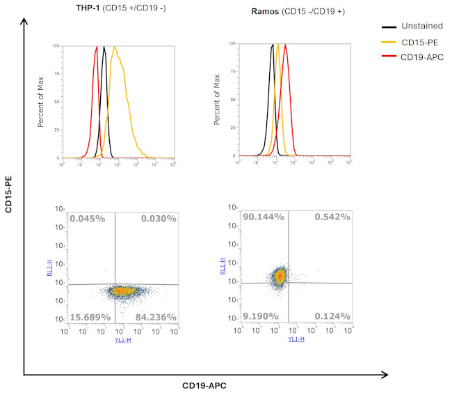 CD15 Antibody