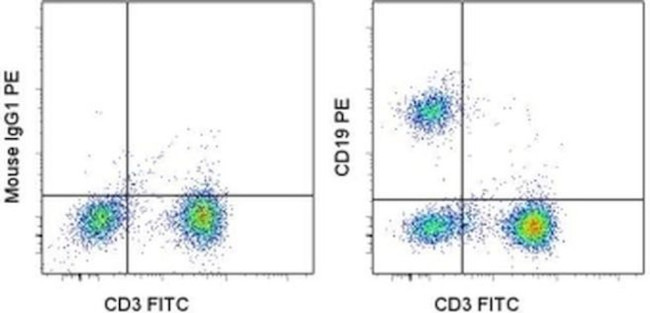 CD19 Antibody in Flow Cytometry (Flow)