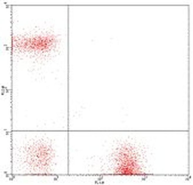 CD19 Antibody in Flow Cytometry (Flow)