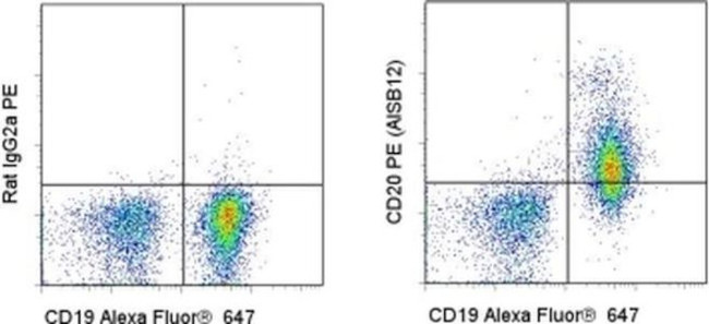 CD20 Antibody in Flow Cytometry (Flow)