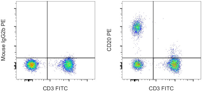 CD20 Antibody in Flow Cytometry (Flow)