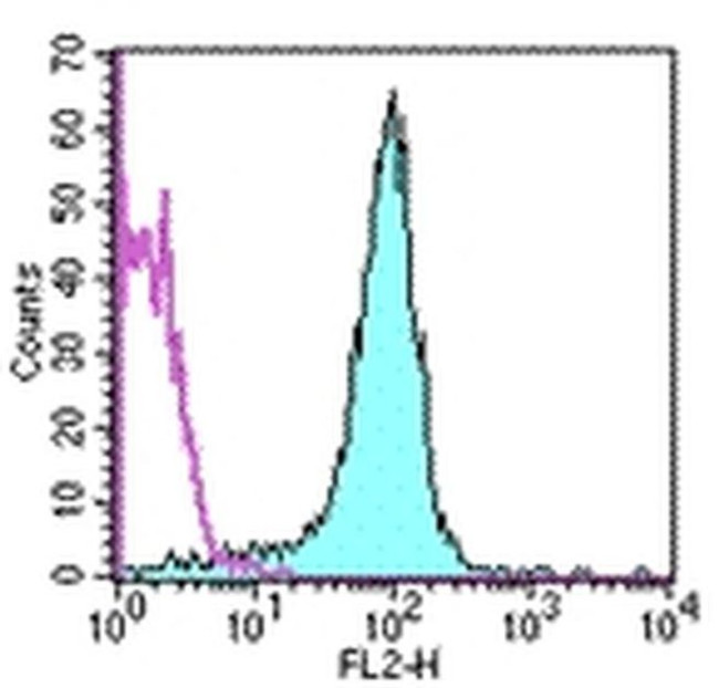 CD31 (PECAM-1) Antibody in Flow Cytometry (Flow)