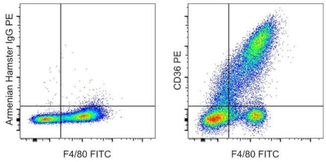 CD36 Antibody in Flow Cytometry (Flow)