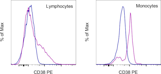 CD38 Antibody in Flow Cytometry (Flow)