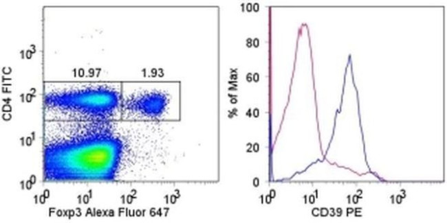 CD39 Antibody in Flow Cytometry (Flow)