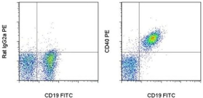 CD40 Antibody in Flow Cytometry (Flow)