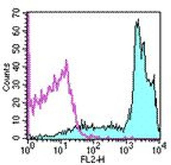 CD45RB Antibody in Flow Cytometry (Flow)