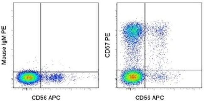 CD57 Antibody in Flow Cytometry (Flow)