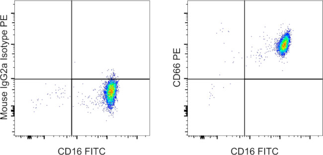 CD66 Antibody in Flow Cytometry (Flow)