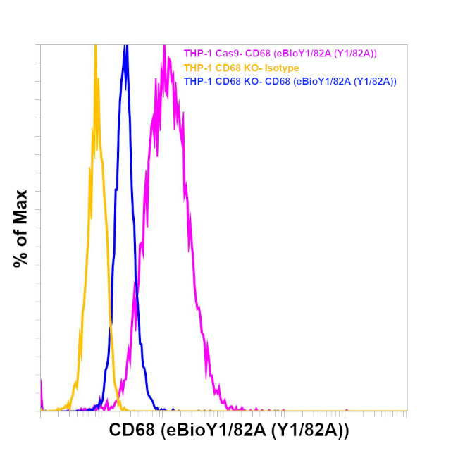 CD68 Antibody