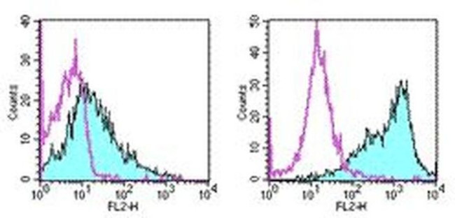 CD86 (B7-2) Antibody in Flow Cytometry (Flow)