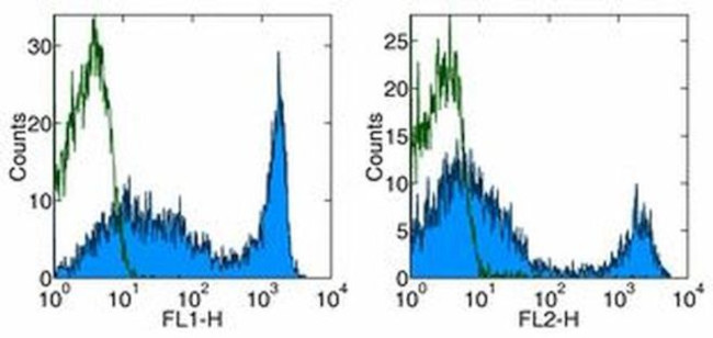 CD90.2 (Thy-1.2) Antibody in Flow Cytometry (Flow)