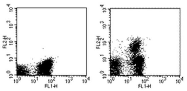 CD103 (Integrin alpha E) Antibody in Flow Cytometry (Flow)