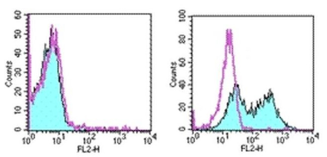 CD137 (4-1BB) Antibody in Flow Cytometry (Flow)