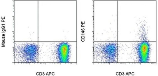 CD146 Antibody in Flow Cytometry (Flow)