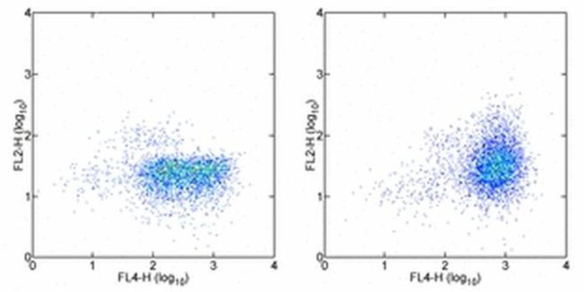 CD152 (CTLA-4) Antibody in Flow Cytometry (Flow)