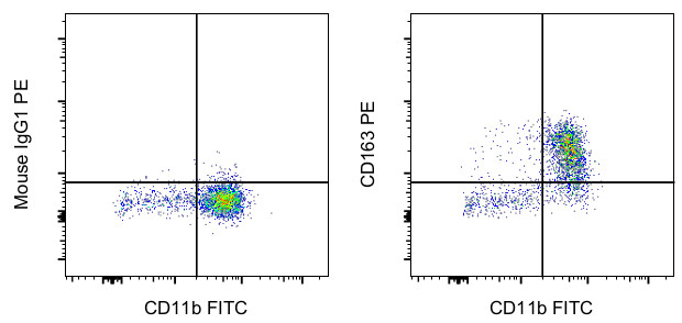 CD163 Antibody in Flow Cytometry (Flow)