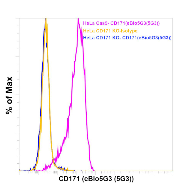 CD171 Antibody