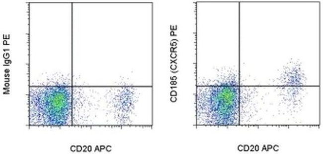 CD185 (CXCR5) Antibody in Flow Cytometry (Flow)