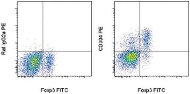 CD304 (Neuropilin-1) Antibody in Flow Cytometry (Flow)