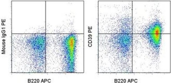 CD39 Antibody in Flow Cytometry (Flow)