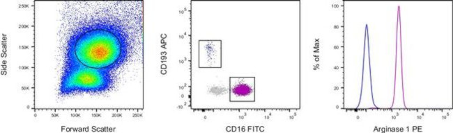 Arginase 1 Antibody in Flow Cytometry (Flow)