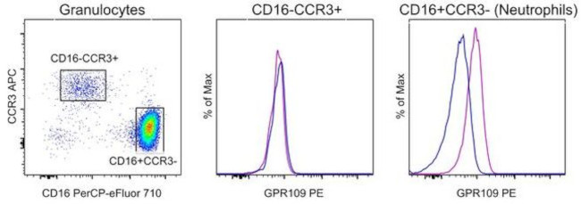 GPR109 Antibody in Flow Cytometry (Flow)