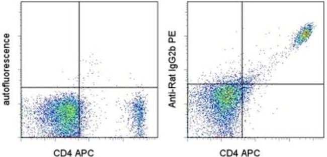 Rat IgG2b Secondary Antibody in Flow Cytometry (Flow)