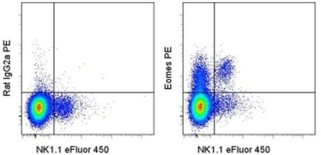 EOMES Antibody in Flow Cytometry (Flow)