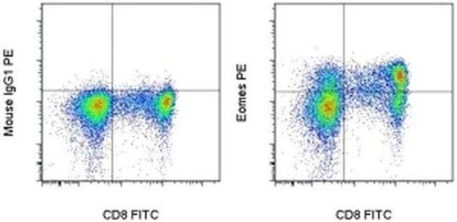 EOMES Antibody in Flow Cytometry (Flow)