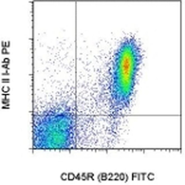 MHC Class II I-Ab Antibody in Flow Cytometry (Flow)