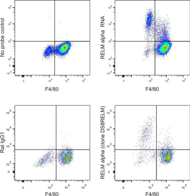 RELM alpha Antibody