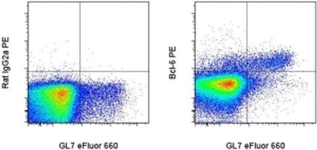 BCL6 Antibody in Flow Cytometry (Flow)