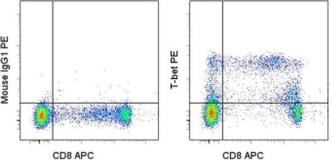 T-bet Antibody in Flow Cytometry (Flow)