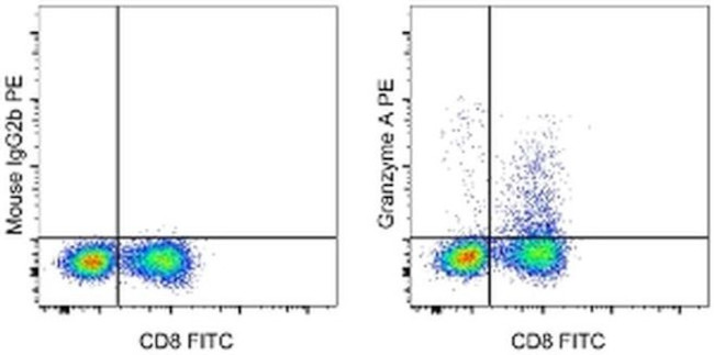 Granzyme A Antibody in Flow Cytometry (Flow)