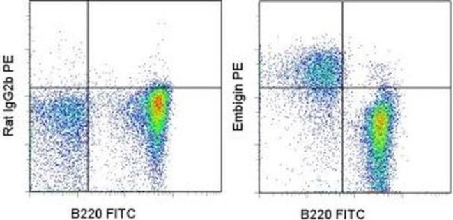 Embigin Antibody in Flow Cytometry (Flow)